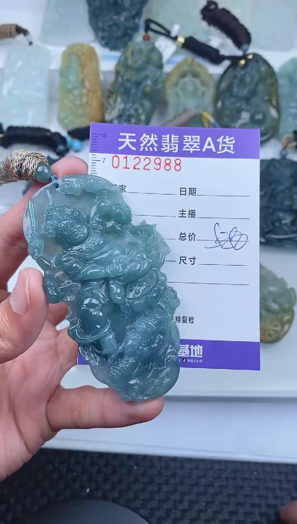 【闪购商品】翡翠颈饰未镶嵌        988