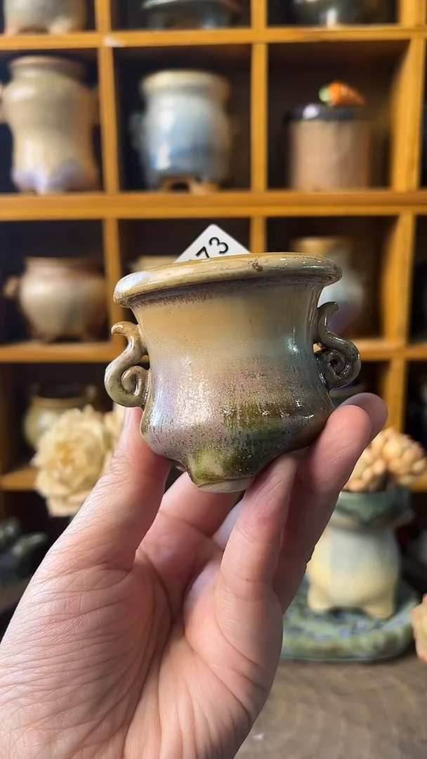 ?****?173【多肉花盆多肉盆】