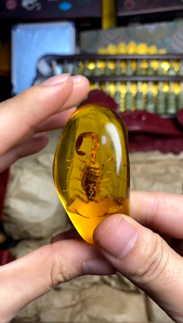 裸石琥珀未镶嵌主播推荐主播推荐