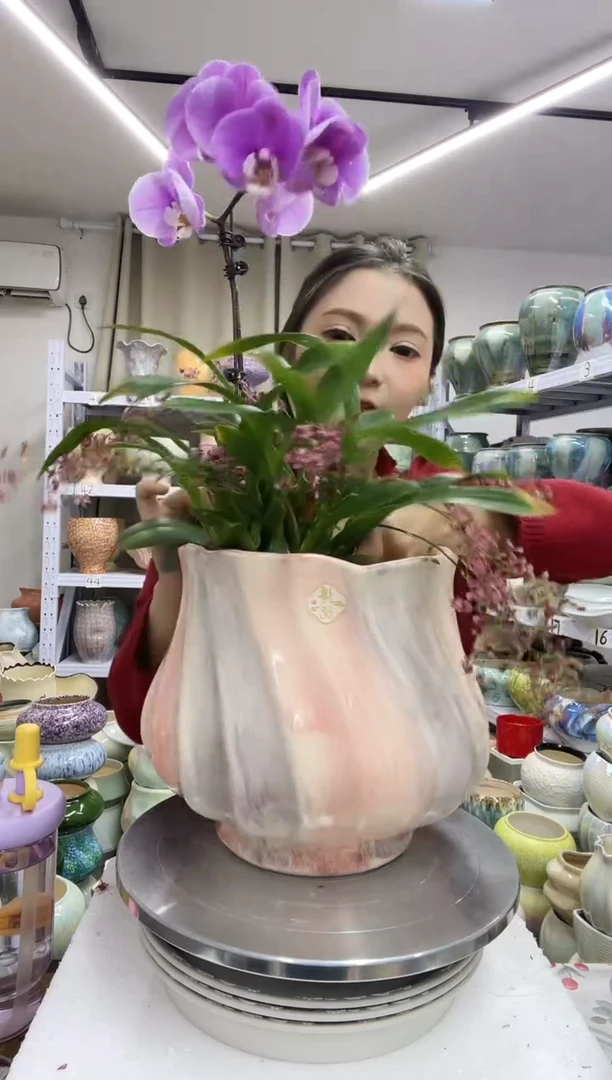 【1.4】花盆尺寸高：24 口：18