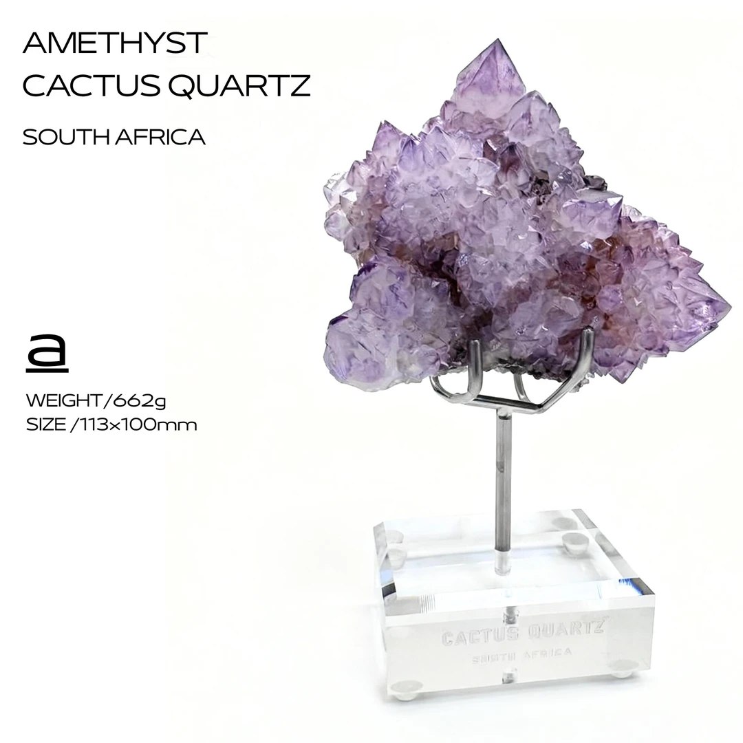 精品专场【南非/紫晶仙人掌】矿物标本收藏