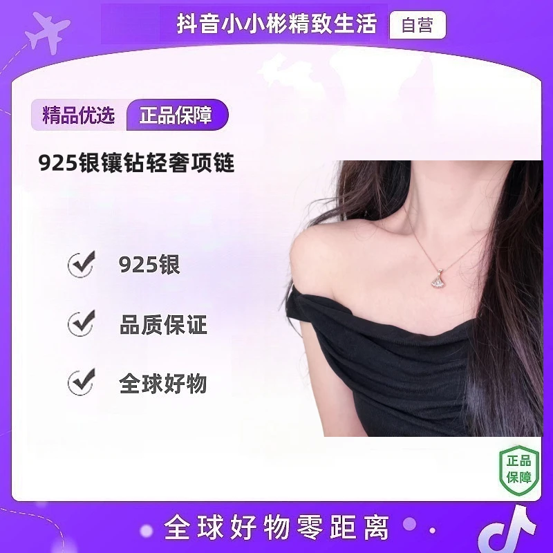 链子925银 镶钻轻奢项链 672