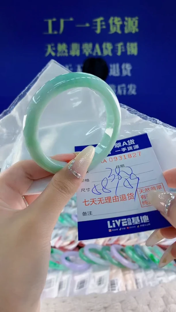 未镶嵌手镯翡翠27