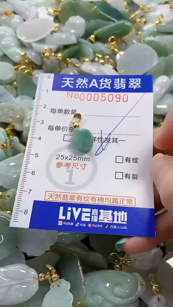 颈饰未镶嵌翡翠纯天然货翡翠