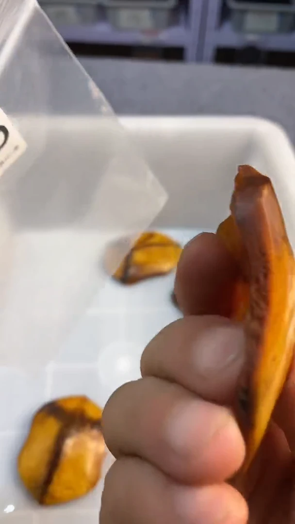 大理石磁石华*叔饰品饰品饰品饰品325