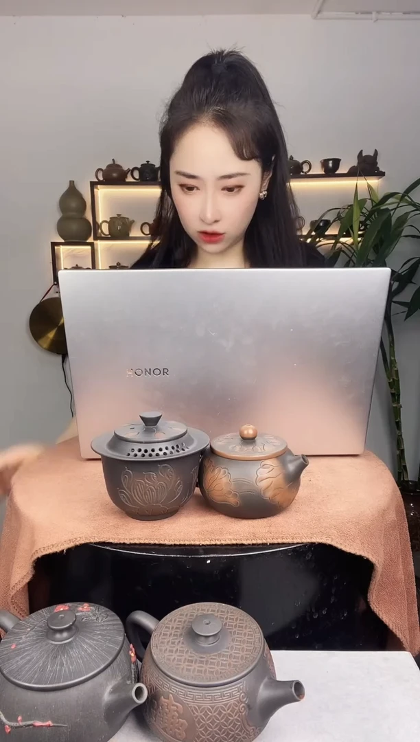 壶建水紫陶西施荷花200+手抓