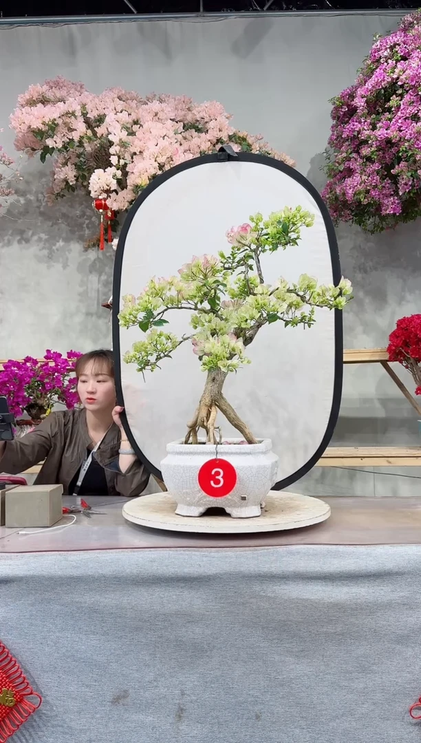 【闪购商品】盆景绿叶樱花