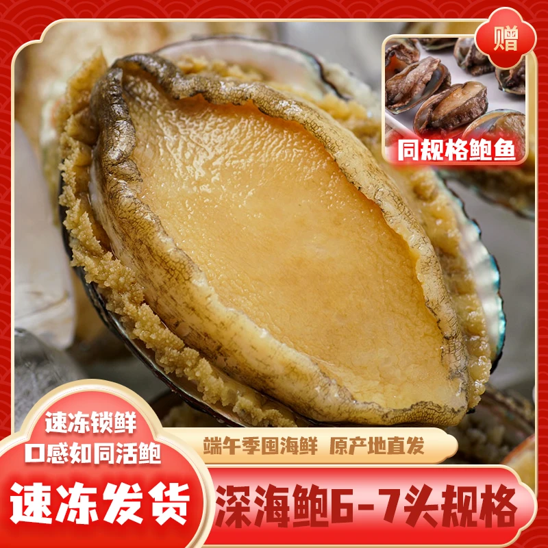 【深海鲍鱼】6-7头鲍单只约7.5-8cm速冻发货东山岛鲍鱼海鲜水产950g
