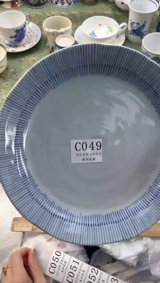 【闪购商品】瓷片          C049