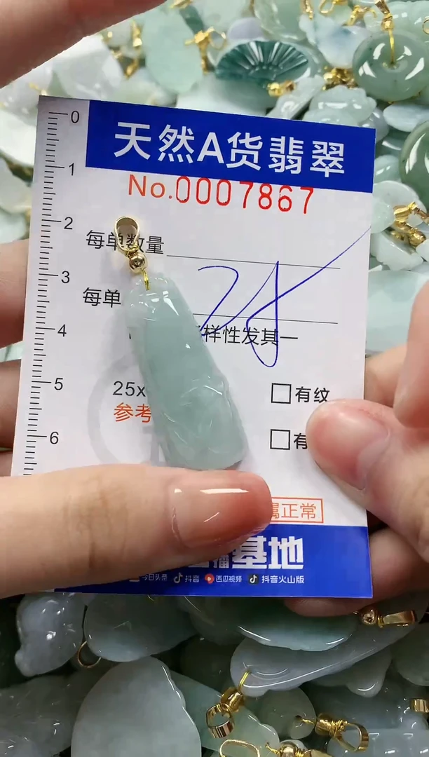 颈饰未镶嵌翡翠纯天然a货翡翠