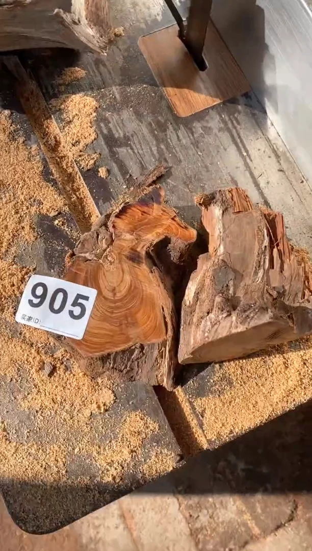 【闪购商品】柏木太行山陈化崖柏（津诚林）切片