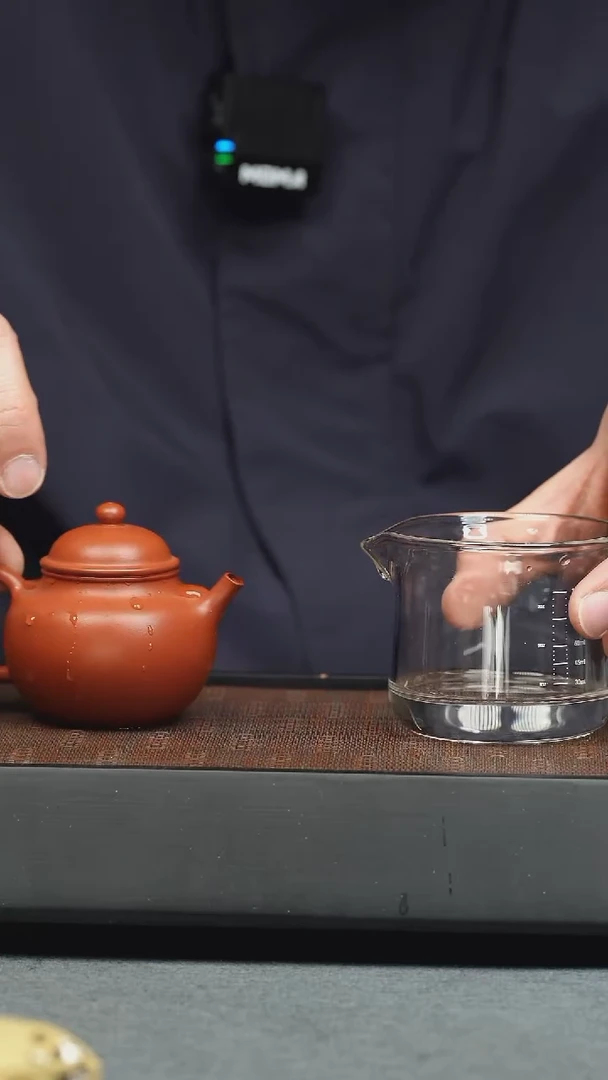 【闪购商品】紫砂茶壶五堂 掇只（南山）