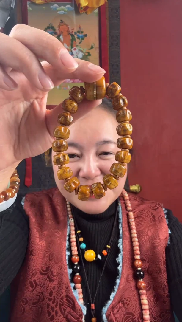 无非金属藏地古串