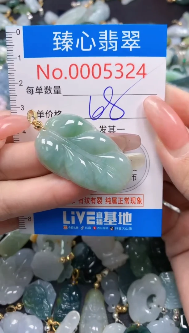 翡翠未镶嵌颈饰5324