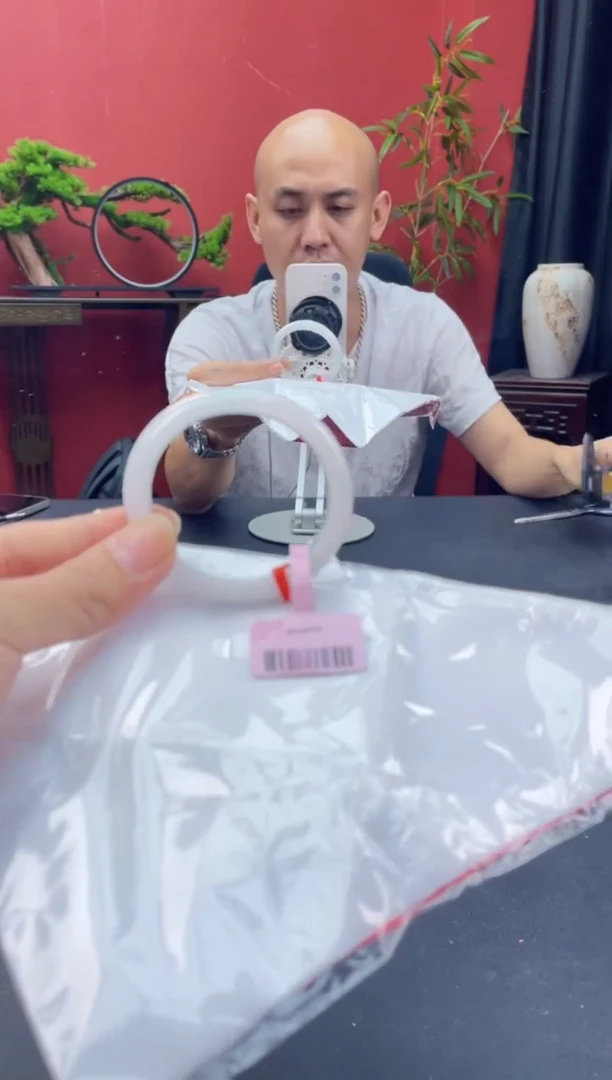 未镶嵌手镯翡翠7