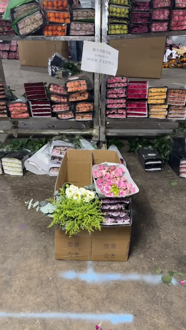 海洋之歌20+莱拉10+黄英+尤加利+白桔梗+基地直发鲜花20%不售后