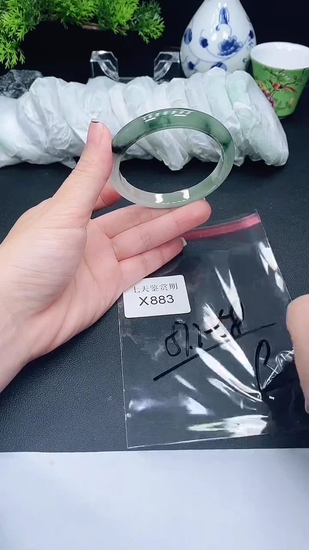 未镶嵌手镯翡翠883