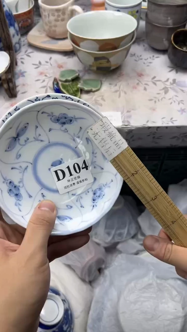 瓷片          D104
