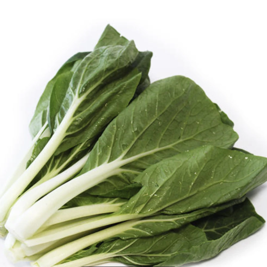 珍珠菜约450g~ 500g/份白菜