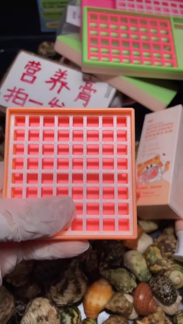 L*陌派帝国寄居蟹408