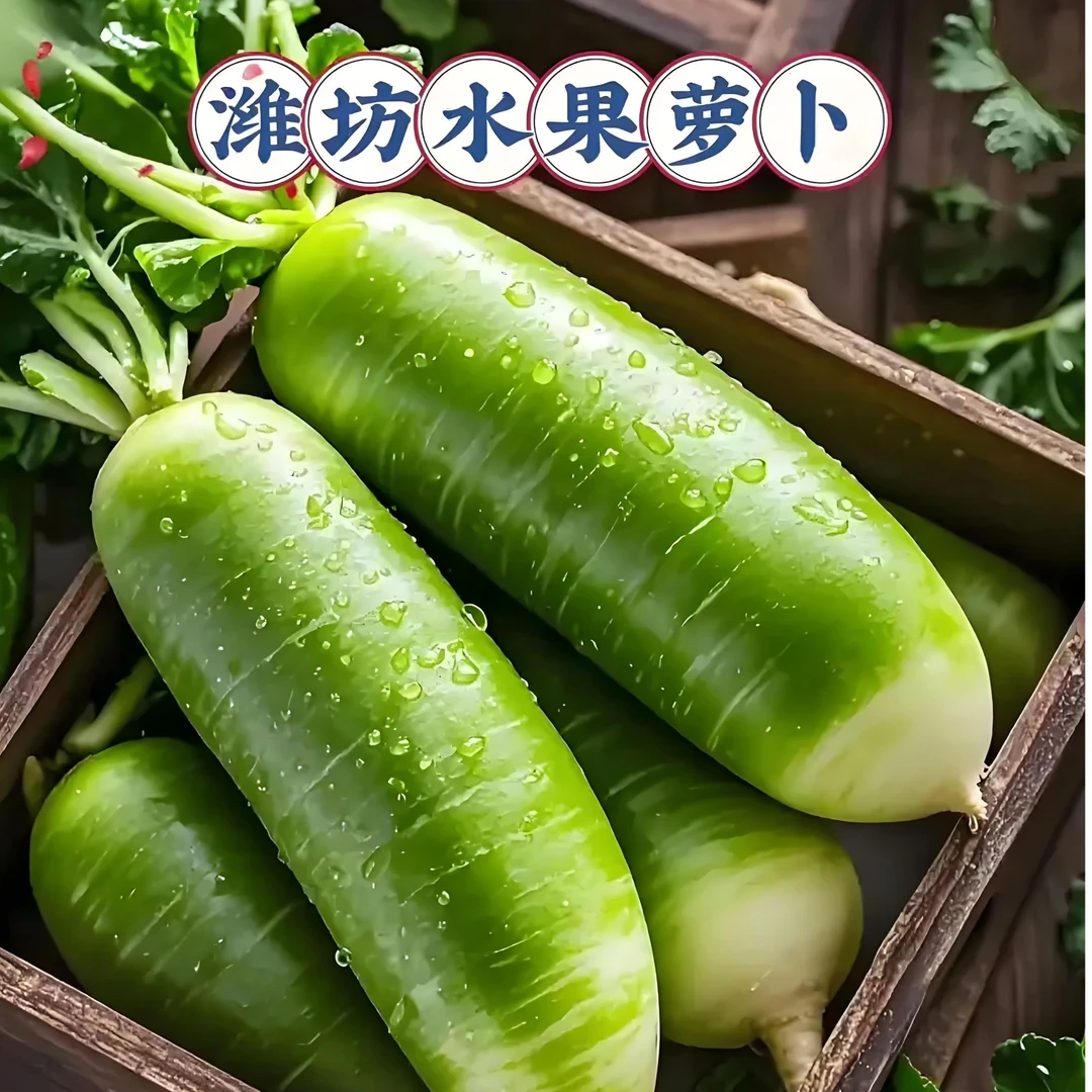 山东寿光 甜脆水果萝卜冰淇淋萝卜 脆嫩清甜产地直发坏果包赔新鲜