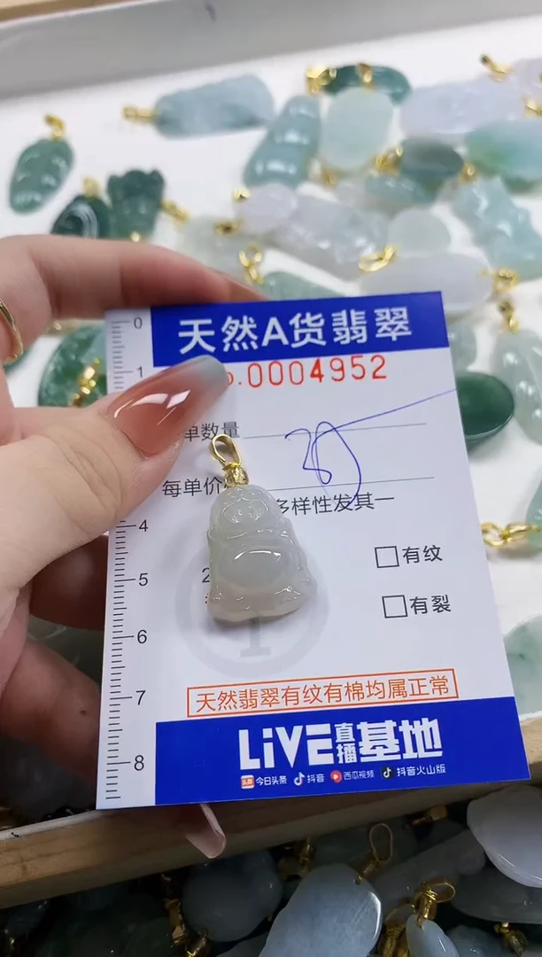 颈饰未镶嵌翡翠天然A货翡翠