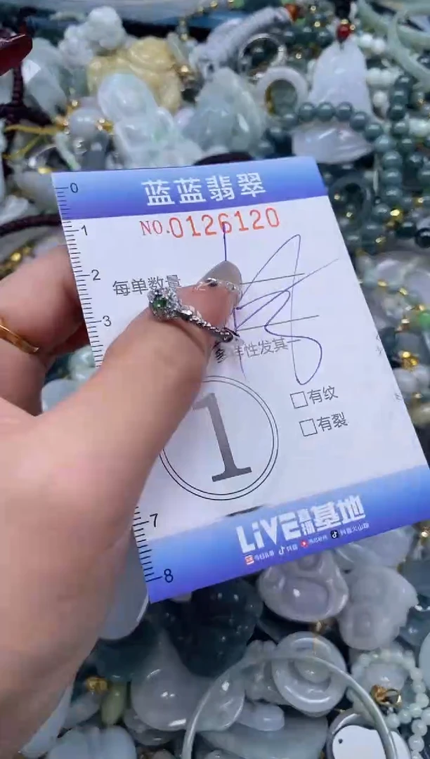 【闪购商品】翡翠颈饰未镶嵌闪购0126120多样性发其一