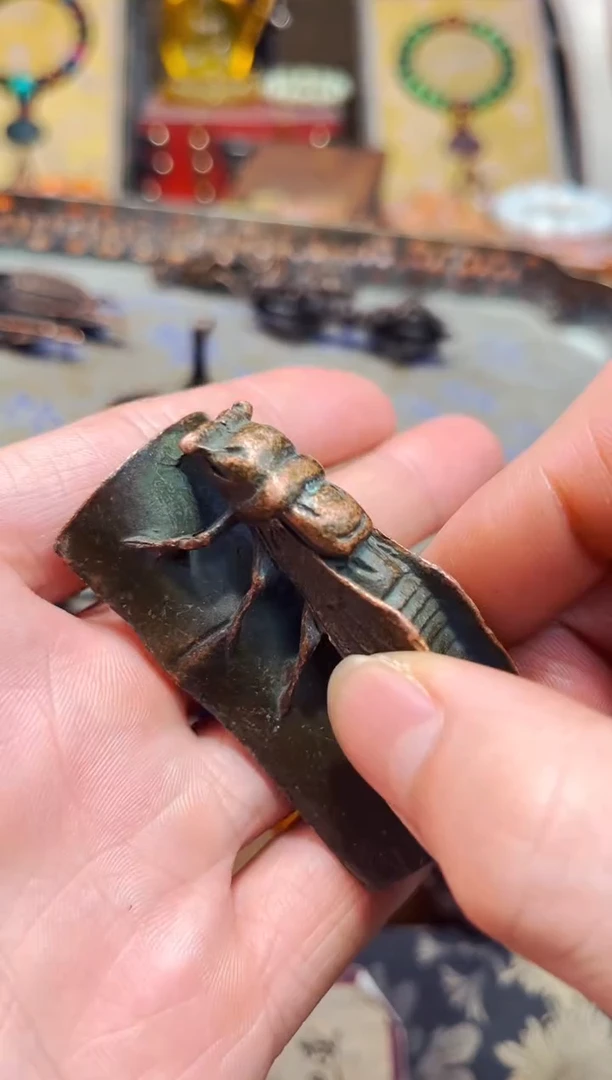 【闪购商品】W六弟专属高端精品8