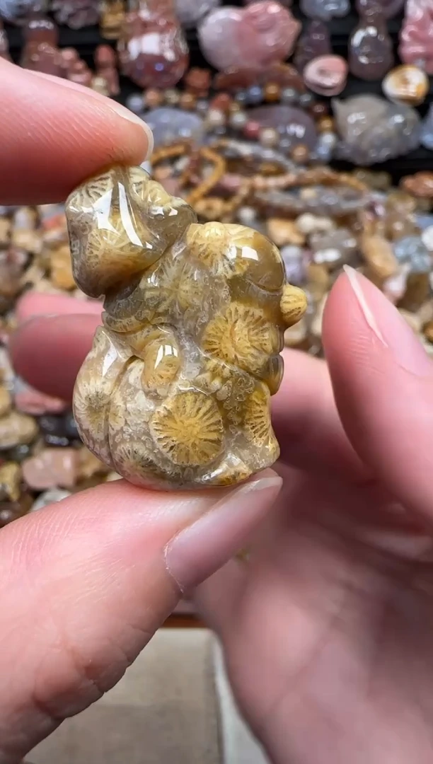 颈饰未镶嵌硅化珊瑚（珊瑚玉）157