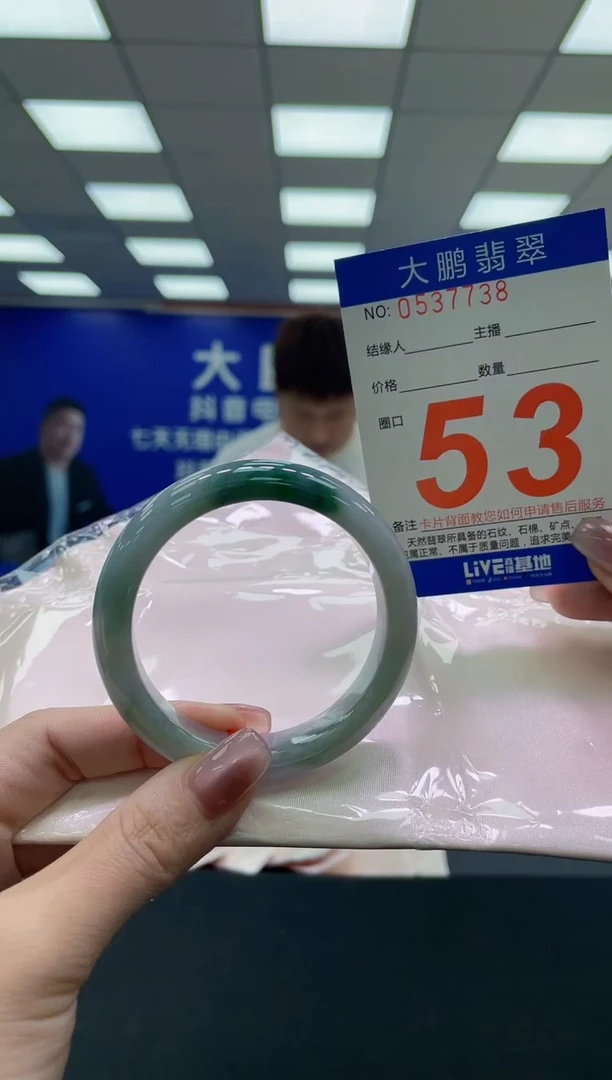 未镶嵌手镯翡翠AAAAAAAAAA