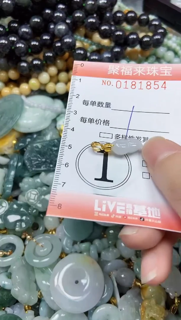 翡翠未镶嵌颈饰闪购0181854