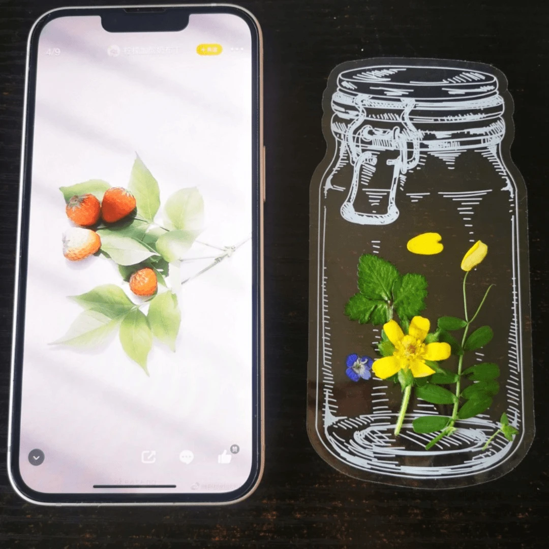 瓶子里的春天干花书签手工DIY透明贴纸创意树叶标本