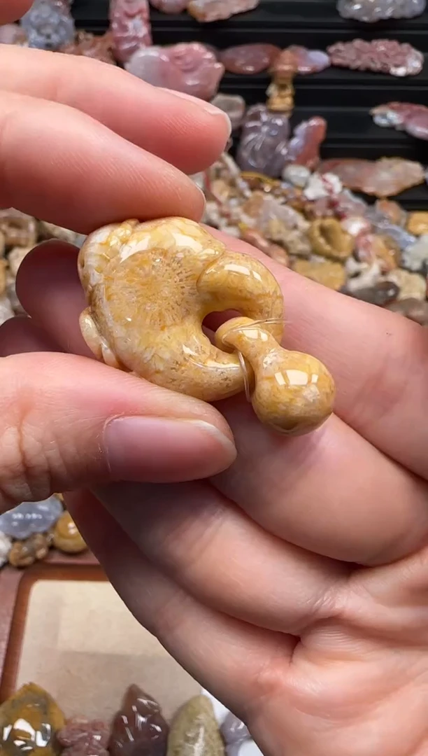 【闪购商品】硅化珊瑚（珊瑚玉）颈饰未镶嵌490