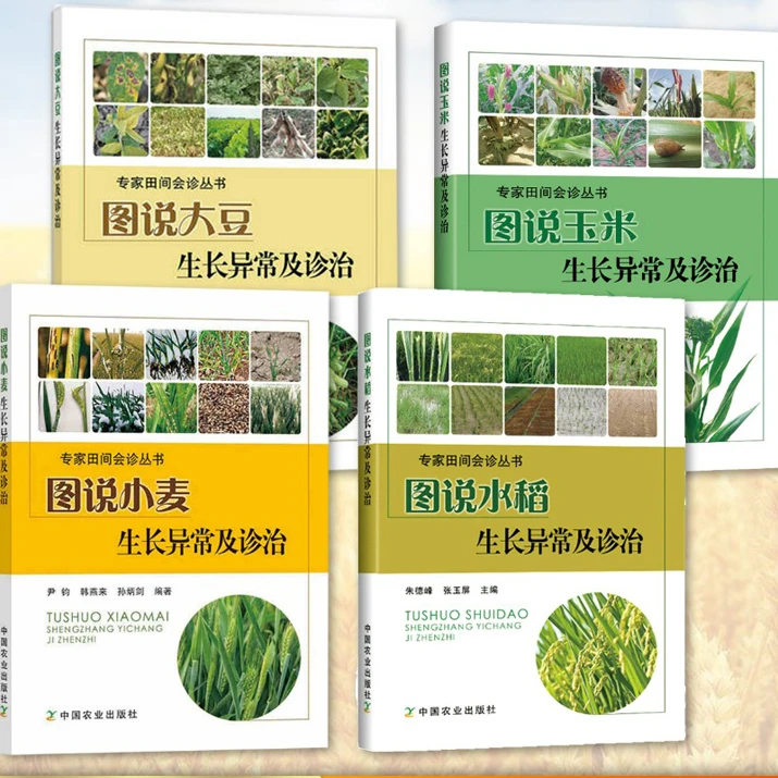 【大田作物】小麦 玉米 大豆 水稻生长异常诊治 +关键技术+有问必答