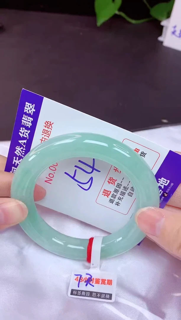 未镶嵌手镯翡翠54（7天无理由退换 ）