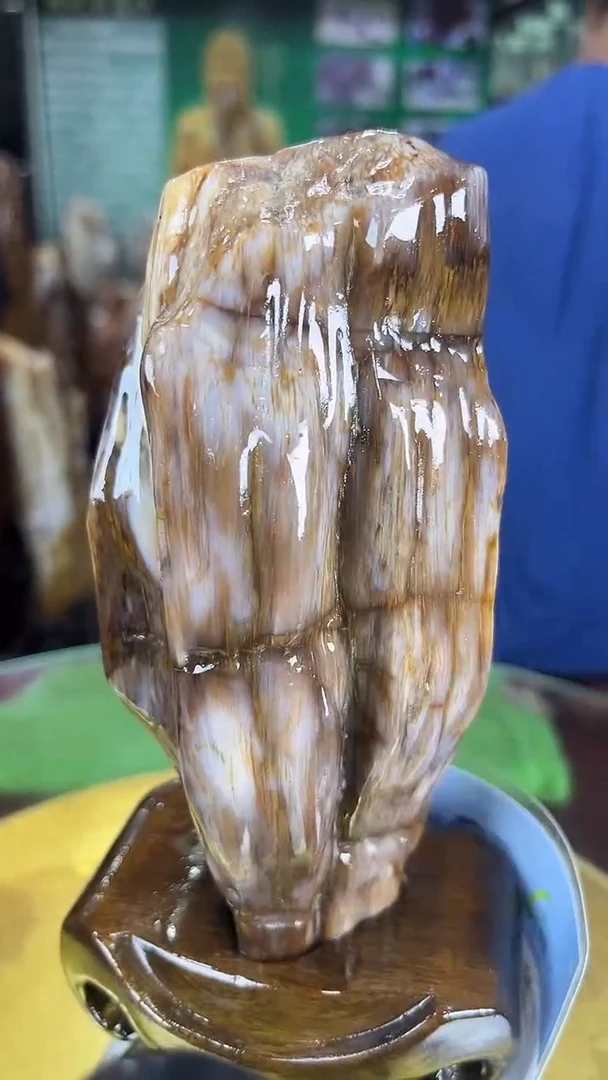 硅化玉珠宝奇石未镶嵌缅甸天然树化玉摆件