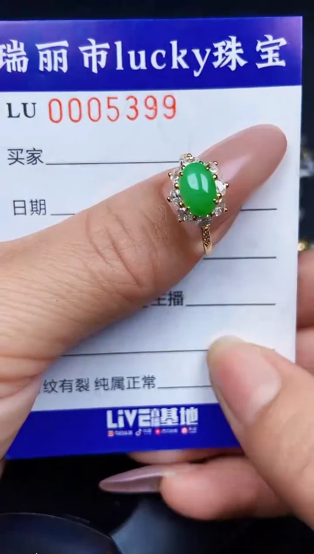 翡翠银S925镶嵌颈饰5399