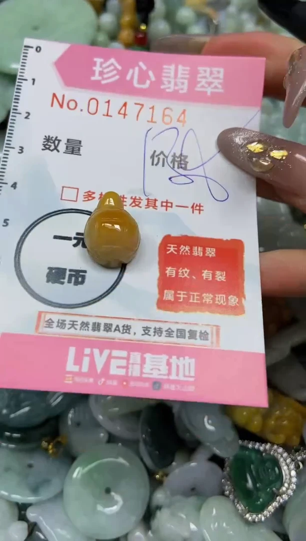 【闪购商品】翡翠颈饰未镶嵌闪购0147164