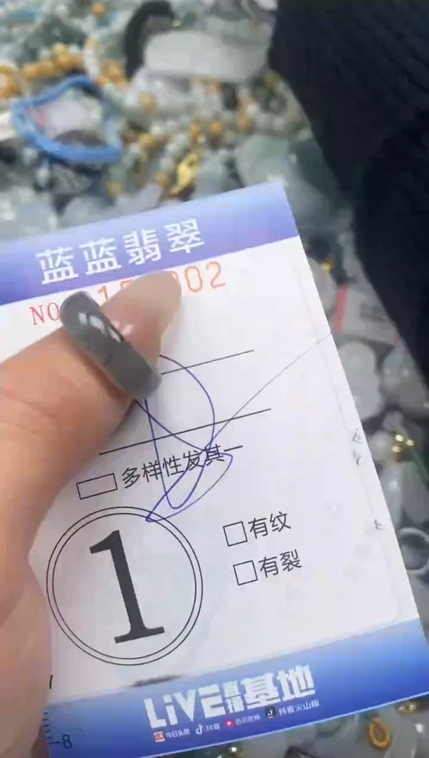 【闪购商品】翡翠颈饰未镶嵌闪购0154002