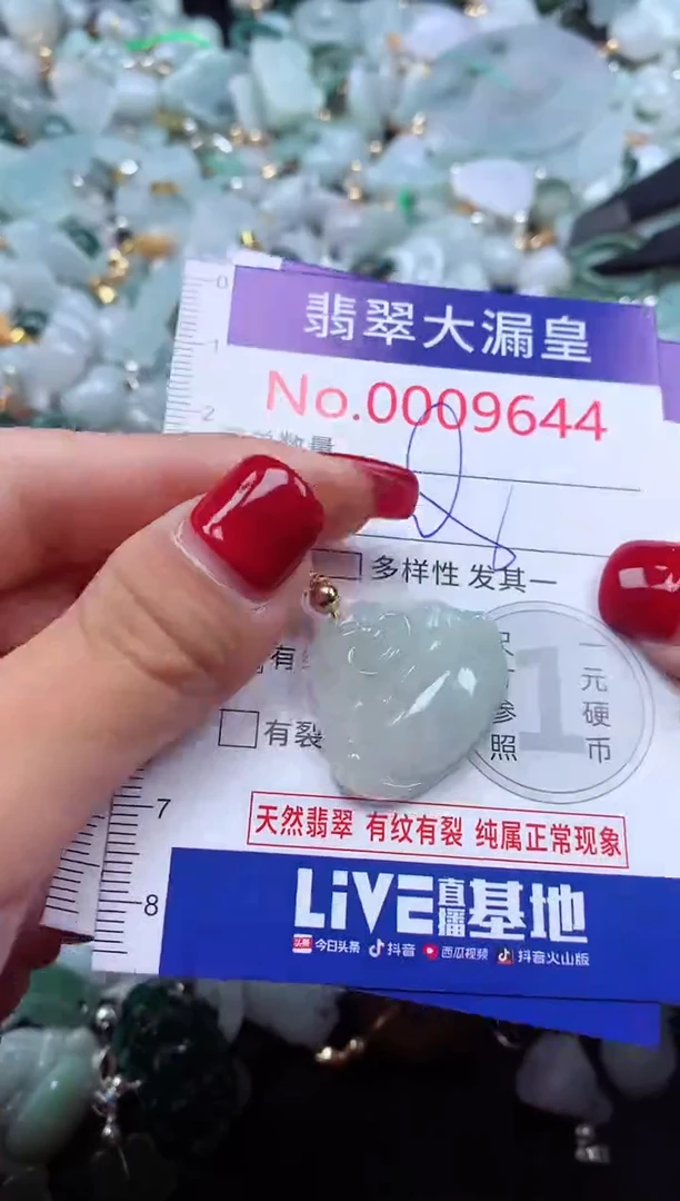 颈饰未镶嵌翡翠9644