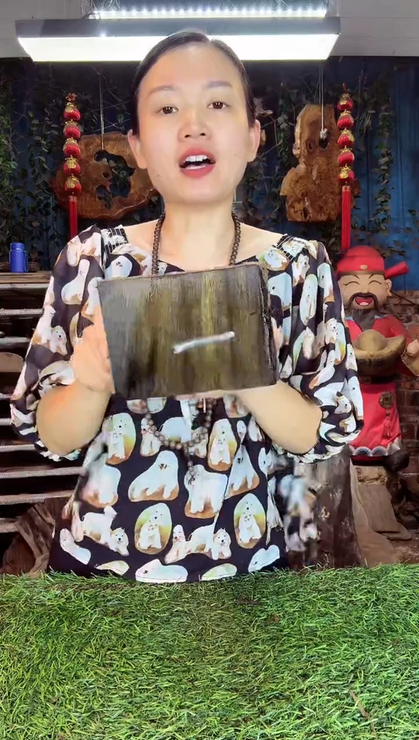 金丝楠小叶祯楠2