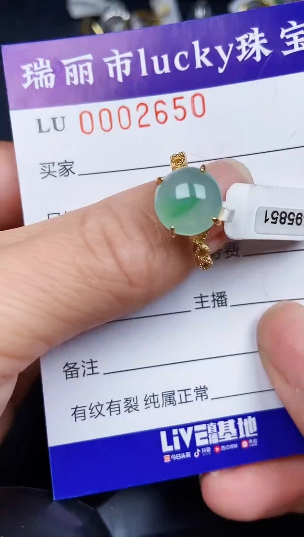 翡翠银S925镶嵌颈饰2650