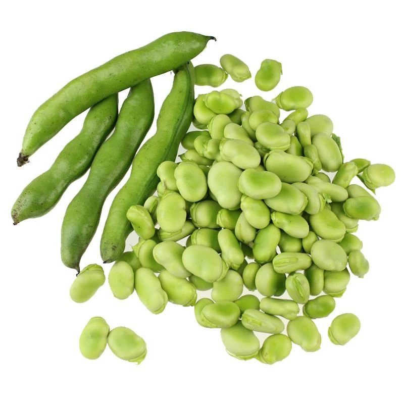 带壳蚕豆约500g/份