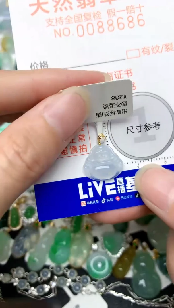 颈饰18K金镶嵌翡翠天然A货翡翠