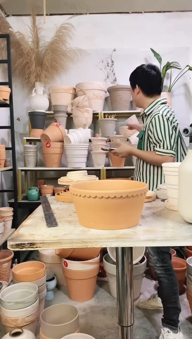 22*10红陶矮盆 1盆无托