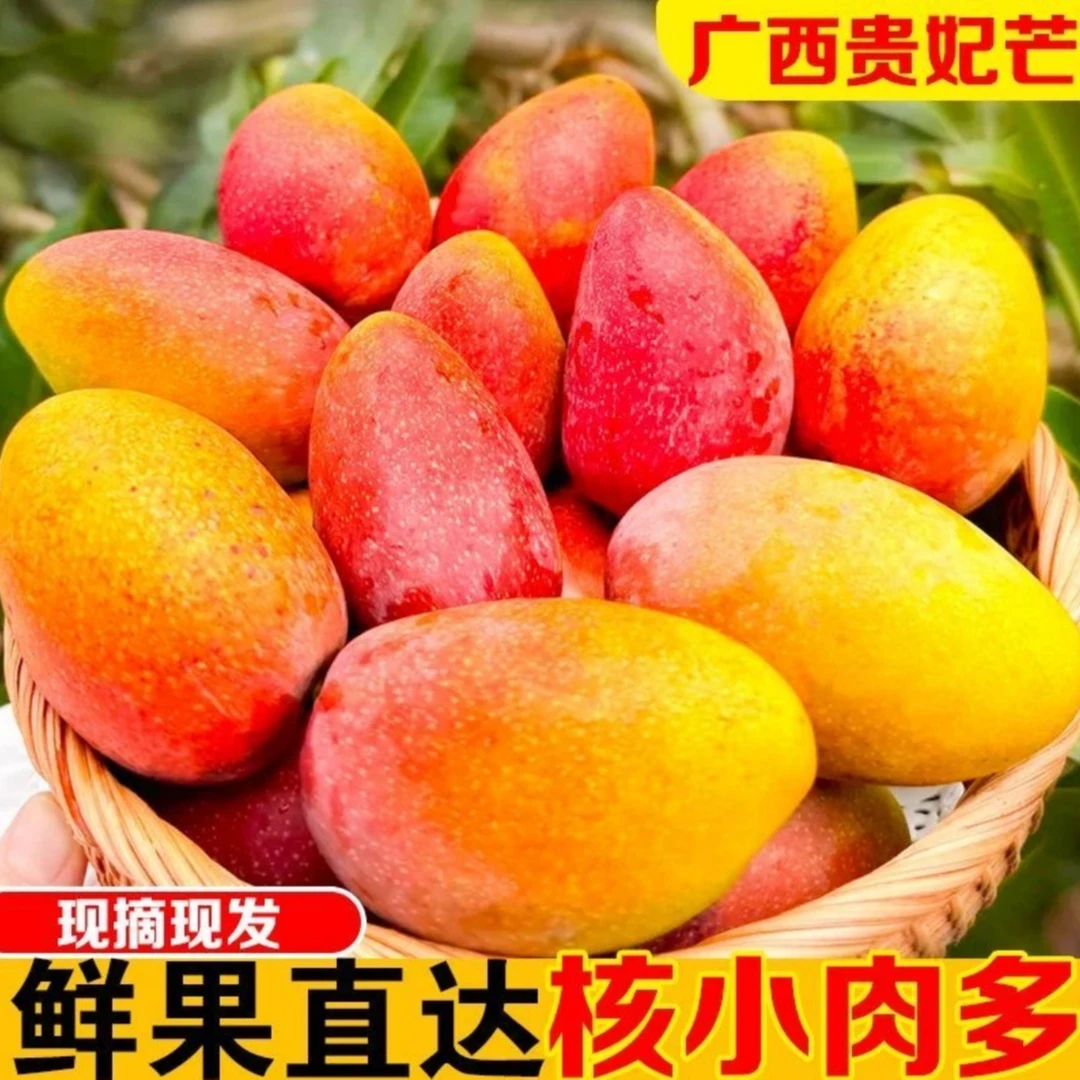 广西贵妃芒新鲜当季水果【催熟放软】带箱10斤香甜多汁现采现发包邮