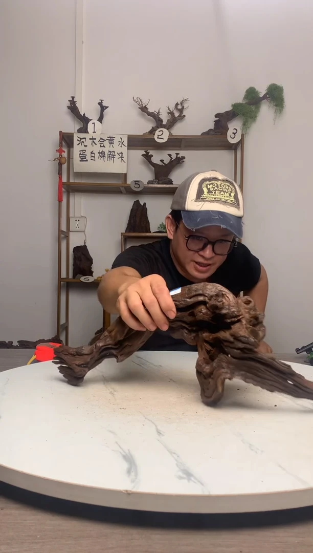 迷*鱼缸造景沉木摆件