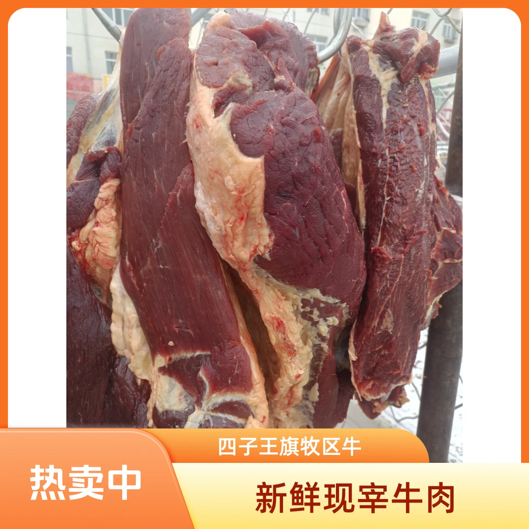 四子王旗牧区现杀散养牛肉  顺丰冷链包邮