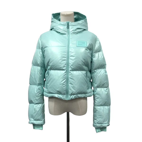 妃鱼/芬迪/锦纶/羽绒服/95新/马零一二七