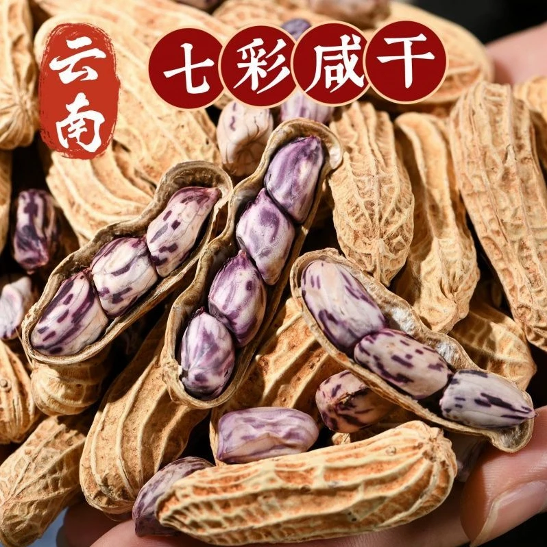 1斤大颗粒】新货云南七彩花生带壳水煮农家原味七彩美味彩色花生